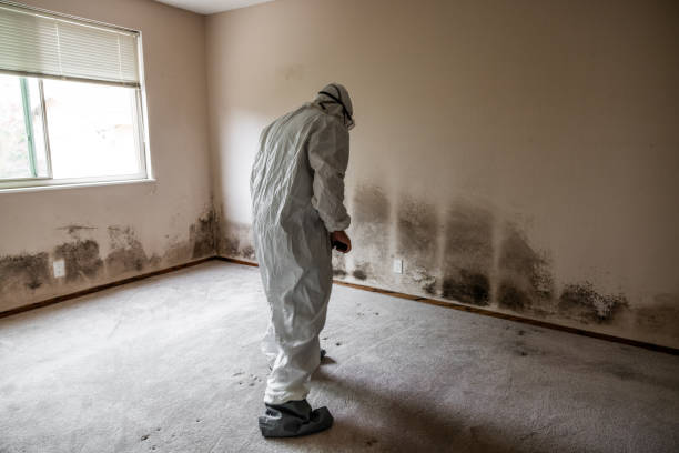 Best Forensic Mold Investigation  in Bradford, TN